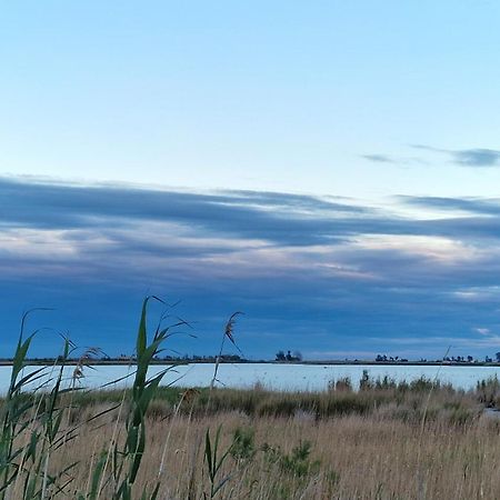Vila La Casita Del Poble Nou Del Delta Exteriér fotografie