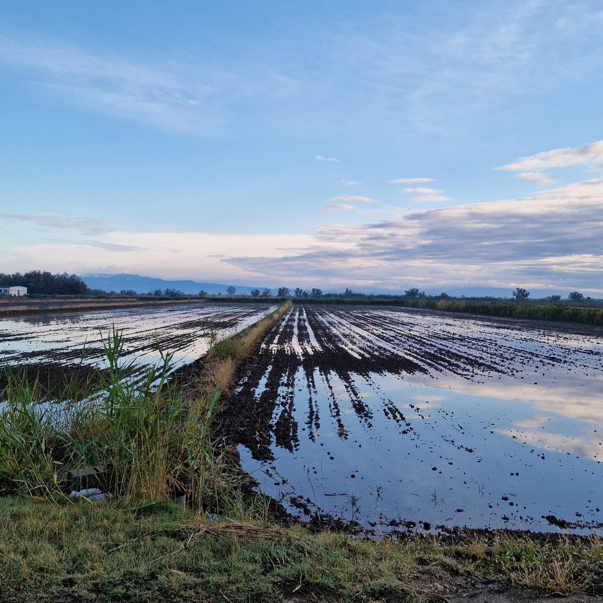 Vila La Casita Del Poble Nou Del Delta Exteriér fotografie